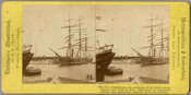 Stereoview photograph of Locust Point harbor in Baltimore, Maryland. Verso transcription: Locust Point, the great terminal and marine Depot of the B & O. R. R., with acres of Locomotives and Cars, great Piers, huge Elevators, Dry Dock, Railroad Ferry, &c.